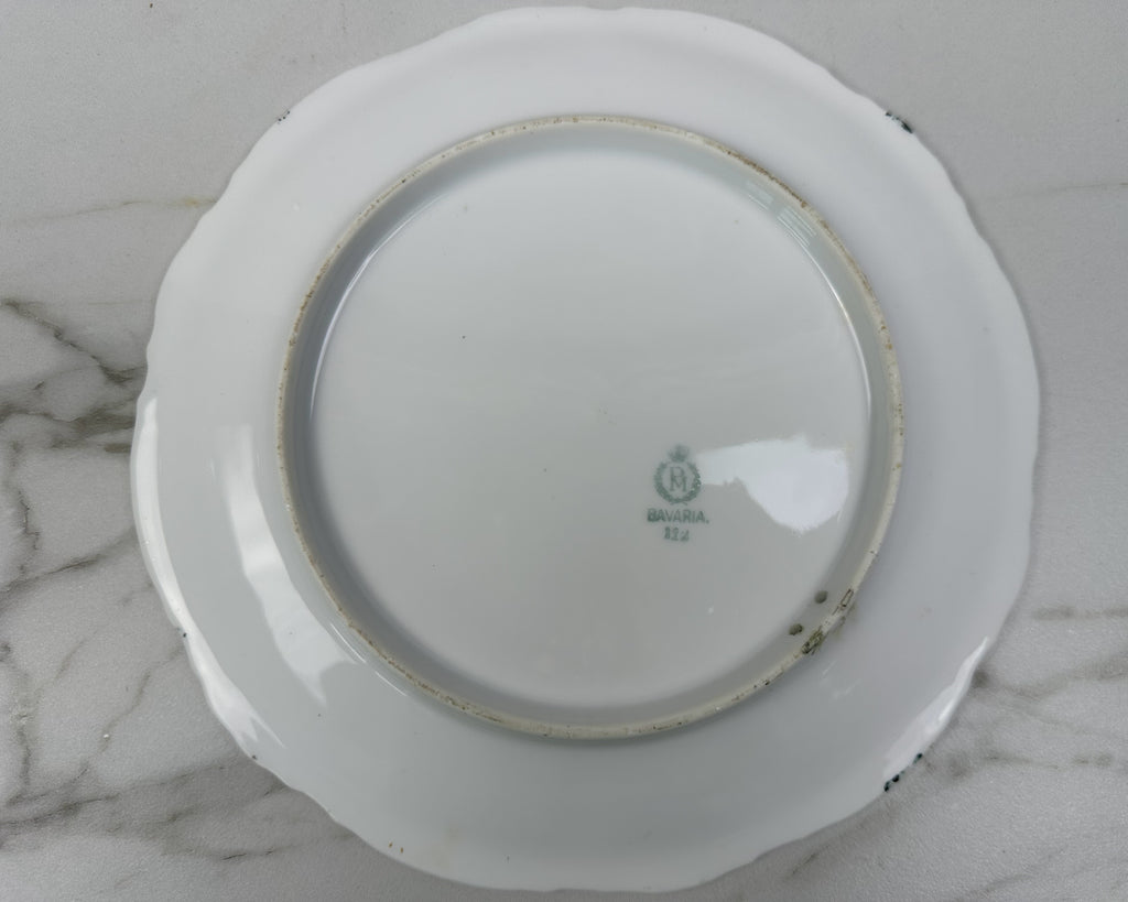 RM Bavaria Hand Painted Naturalist Game Bird Porcelain Plate