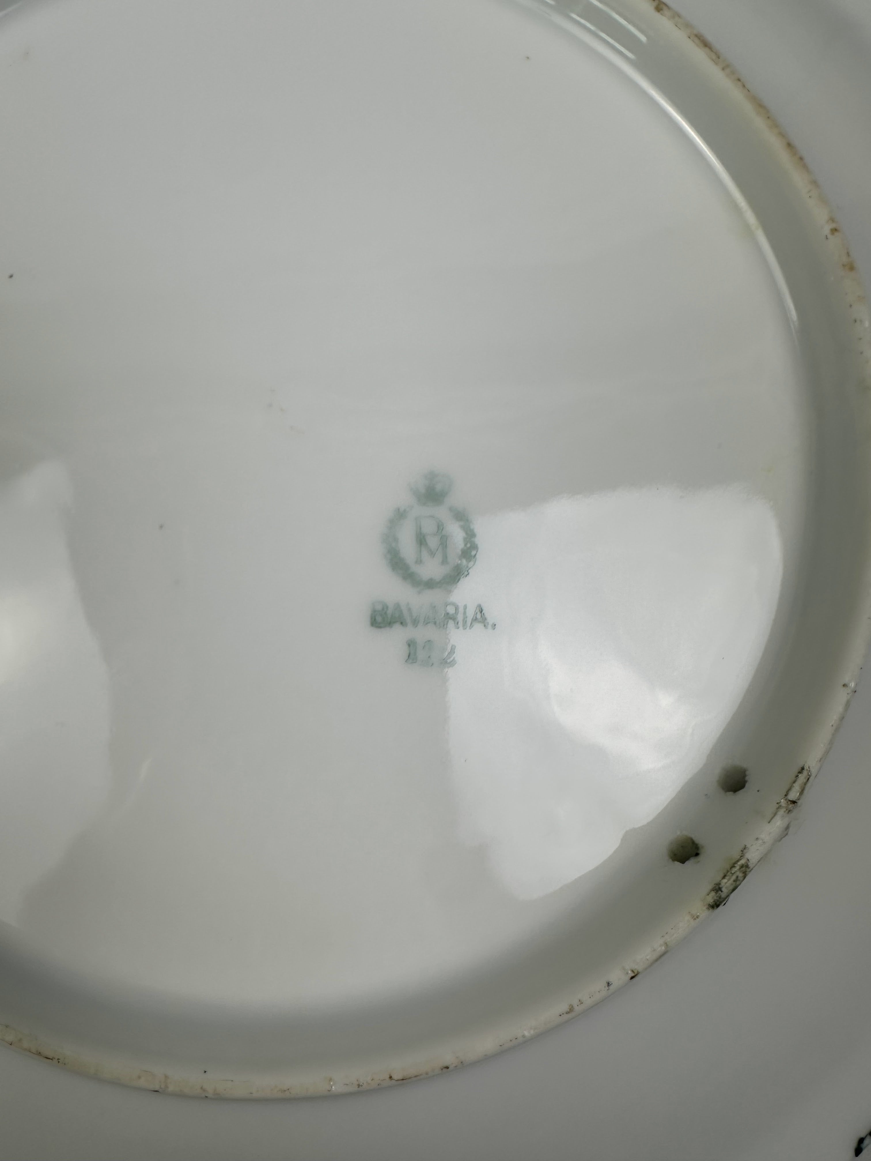 RM Bavaria Hand Painted Naturalist Game Bird Porcelain Plate