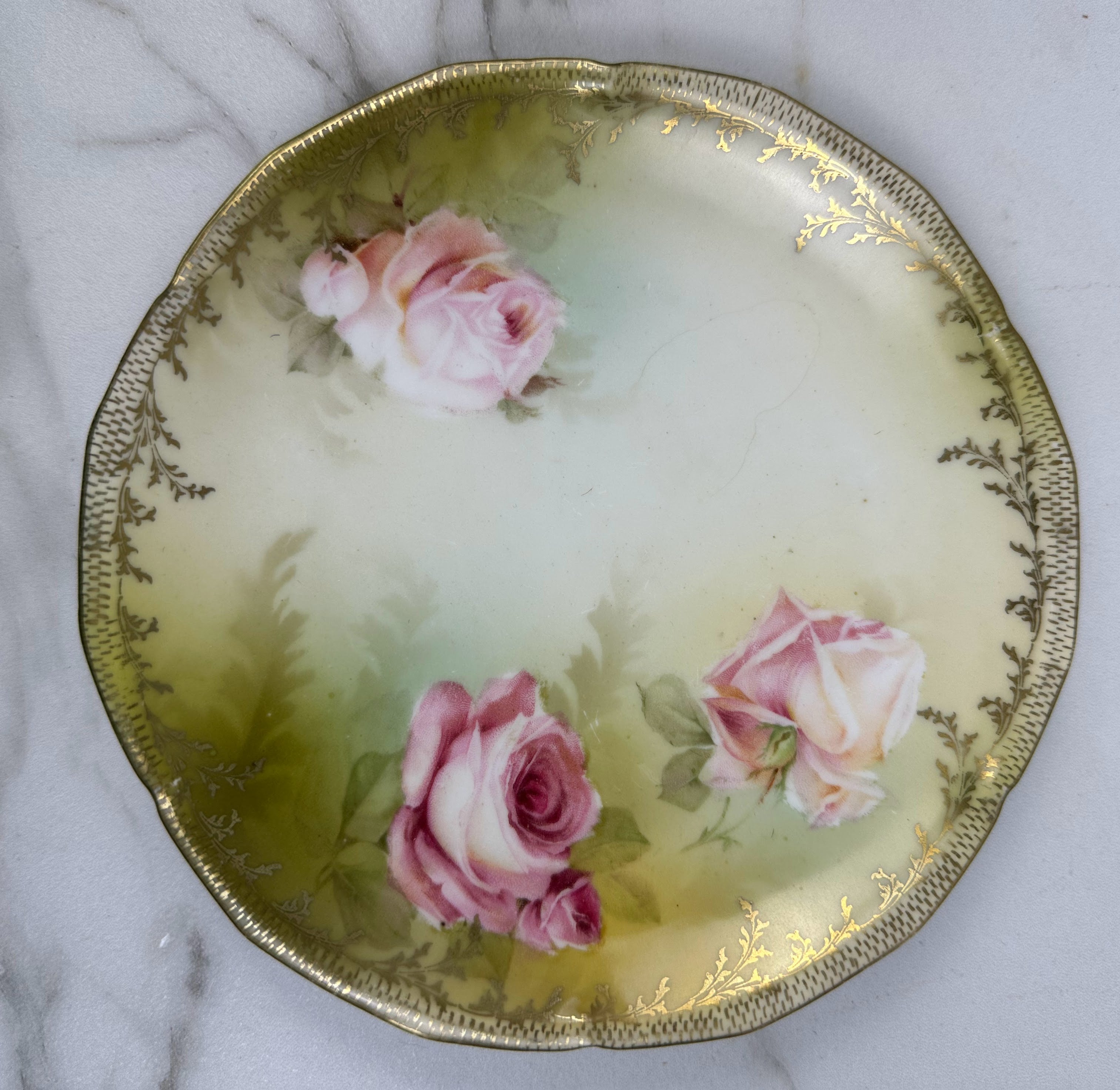 R.S. Prussia Hand-Painted Porcelain Plate with Pink Roses and Gold Accent Trim
