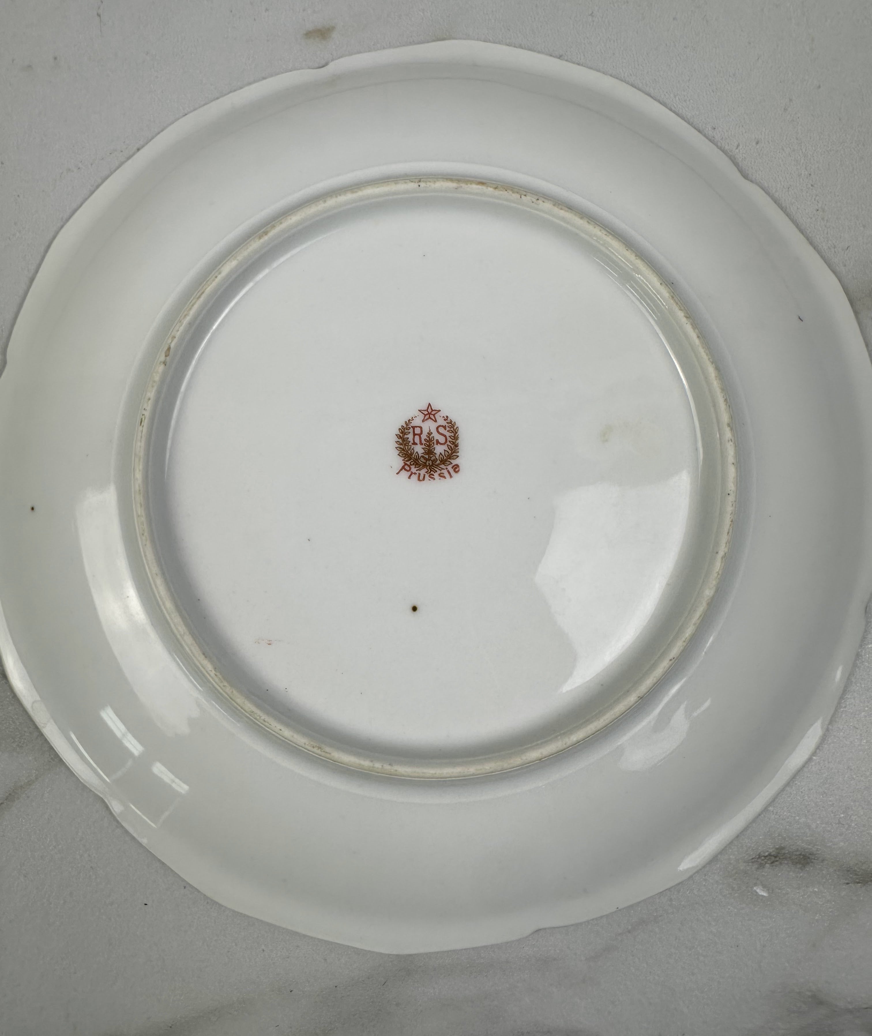 R.S. Prussia Hand-Painted Porcelain Plate with Pink Roses and Gold Accent Trim